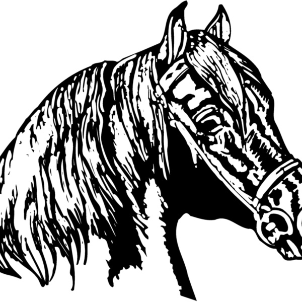 HORSE002 Thumbnail