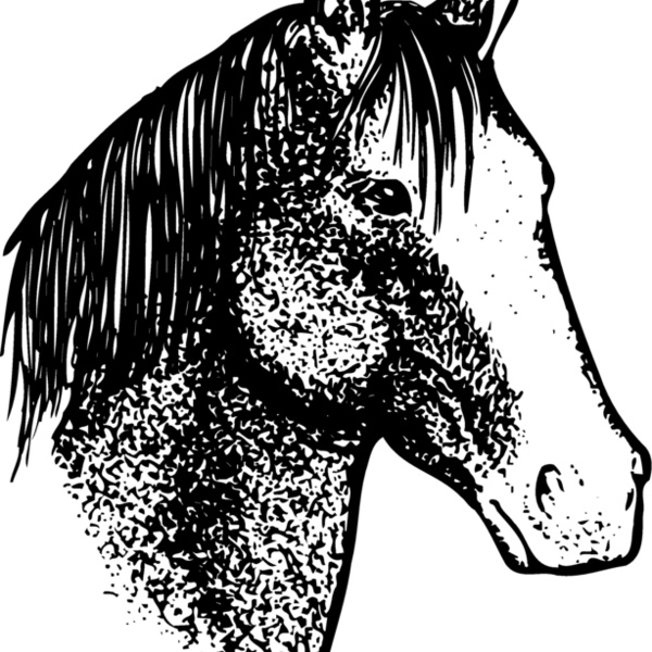 HORSE046 Thumbnail