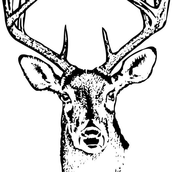 DEER010 Thumbnail