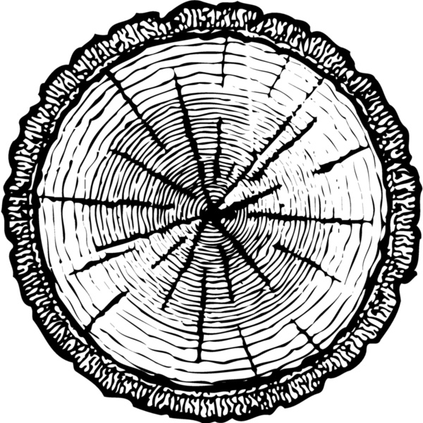 TIMBER04 Thumbnail