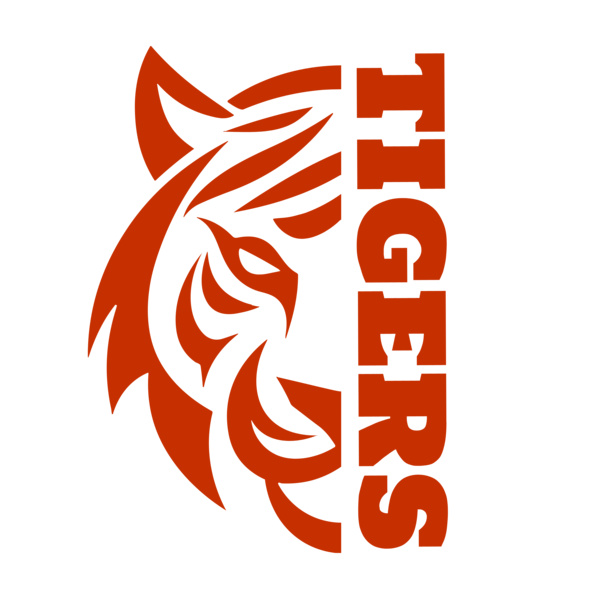 School Tigers 03 Thumbnail