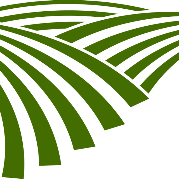 71 Rice Field Thumbnail