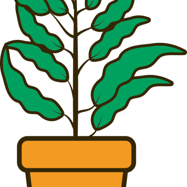Plant 2 Thumbnail