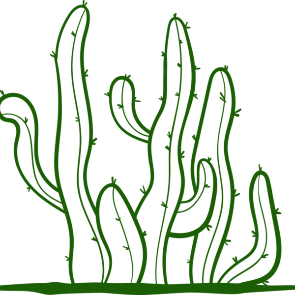 Cactus 2 Thumbnail