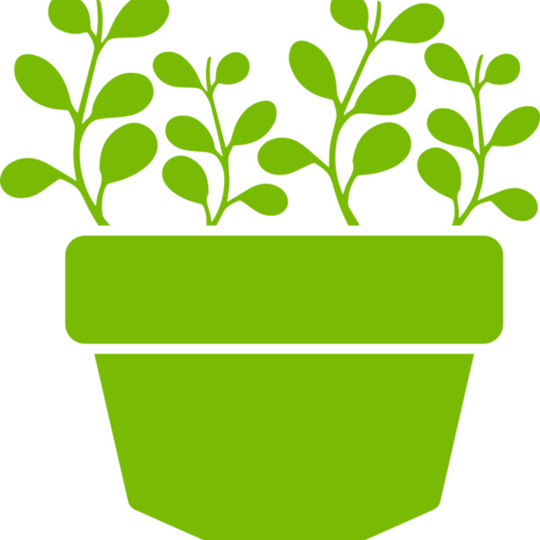 Succulent Plant 3 Thumbnail