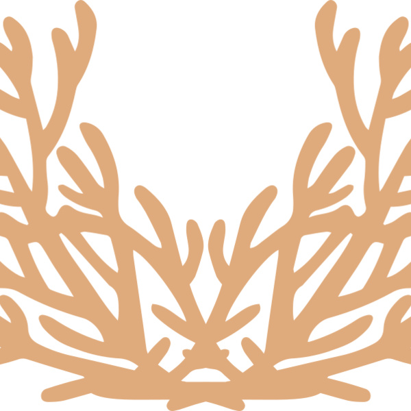 Sea Plants Thumbnail