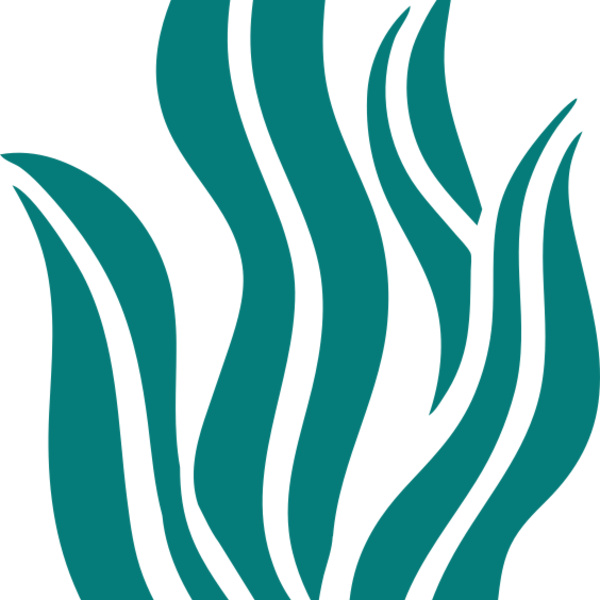 Sea Plants 6 Thumbnail