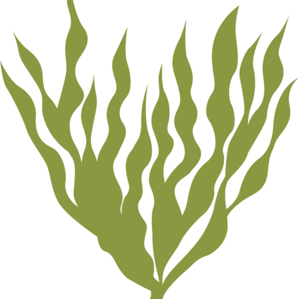 Sea Plants 5 Thumbnail